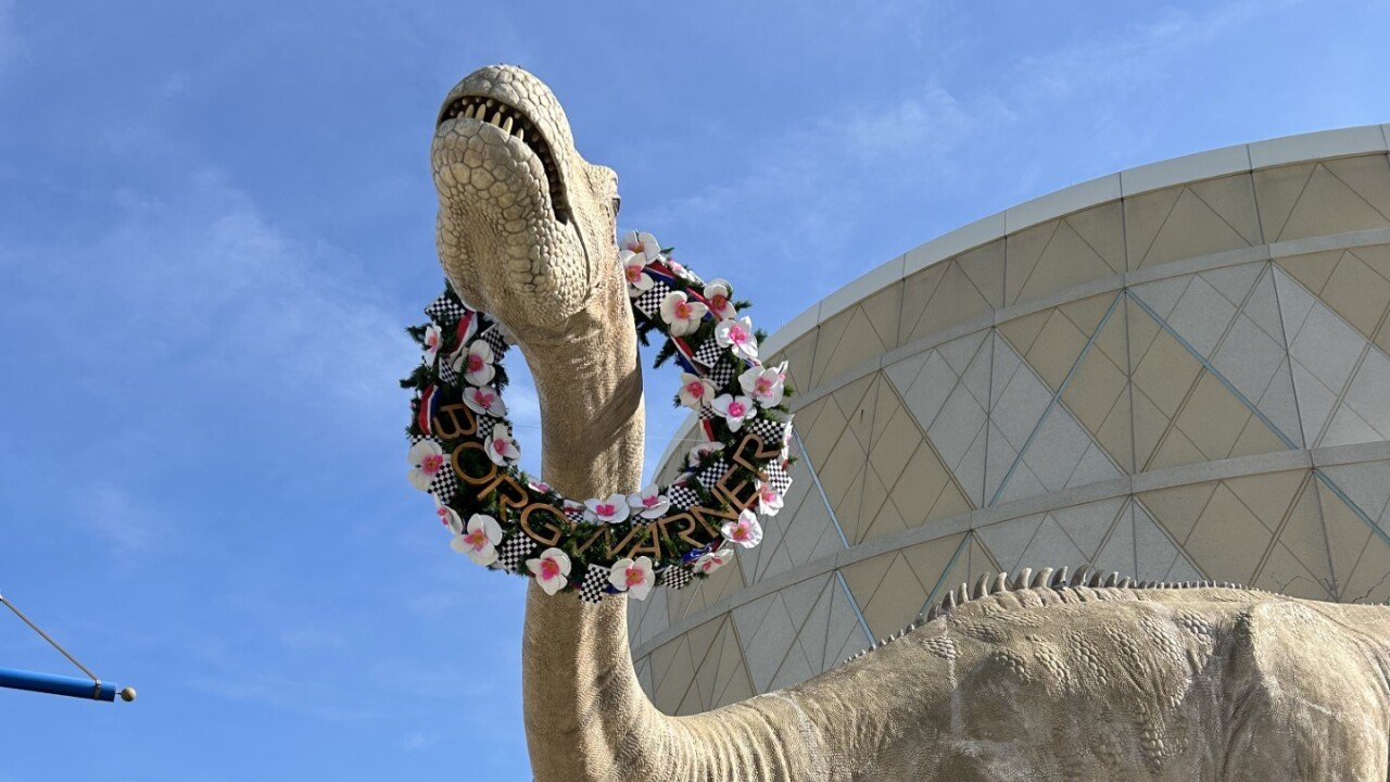 🏎️ 서킷의 늑대 박물관 이미지 8